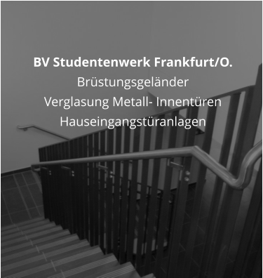 BV Studentenwerk Frankfurt/O.  Brstungsgelnder Verglasung Metall- Innentren Hauseingangstranlagen