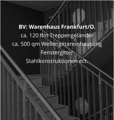 BV: Warenhaus Frankfurt/O.   ca. 120 lfm Treppengelnder ca. 500 qm Wellengittereinhausung Fenstergitter Stahlkonstruktionen ect.